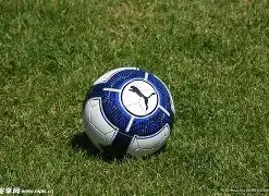 狂揽,胜佳绩,状态持续爆,8868体育,8868体育官网,8868体育平台,8868体育登录